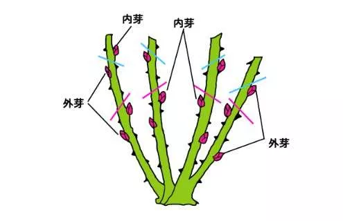 微信图片_202007122242357.jpg